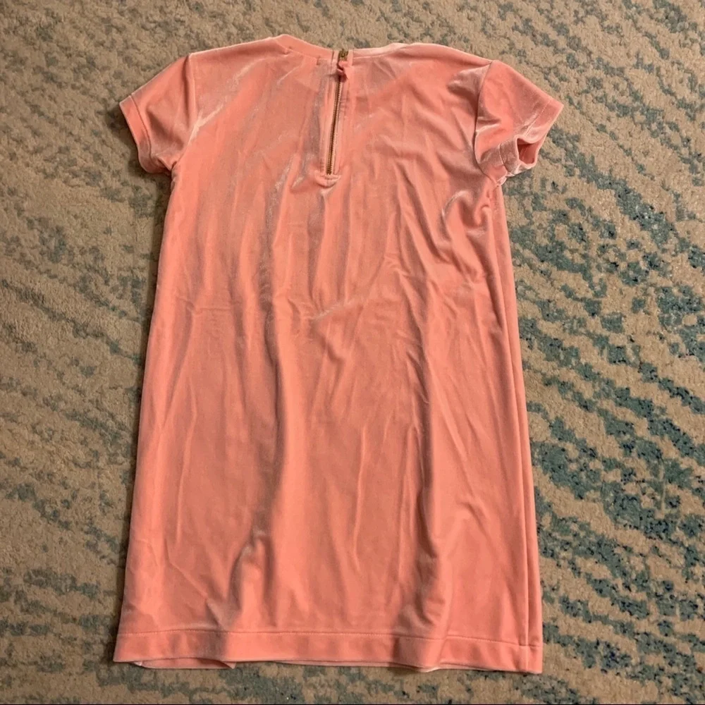 Crewcuts Velvet Dress